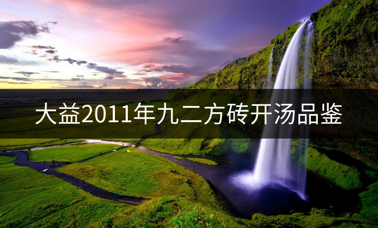 大益2011年九二方磚開湯品鑒 大益2011年九二方磚開湯品鑒