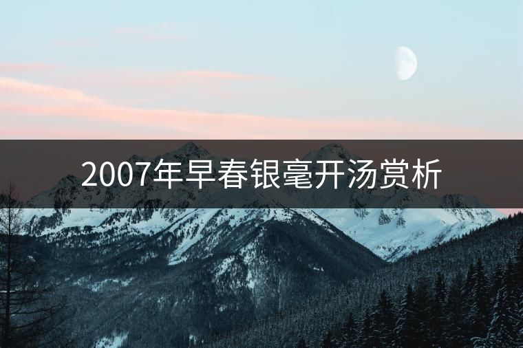 2007年早春銀毫開湯賞析