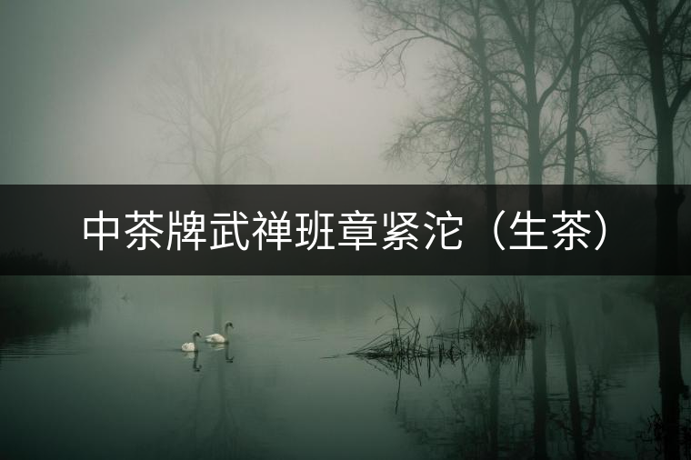 中茶牌武禪班章緊沱（生茶）