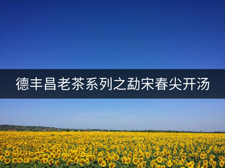 德豐昌老茶系列之勐宋春尖開湯