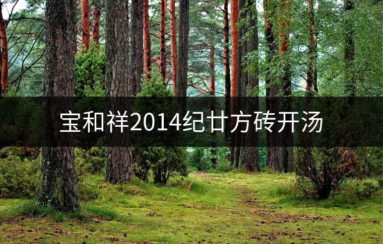 寶和祥2014紀(jì)廿方磚開湯 寶和祥2014紀(jì)廿方磚開湯