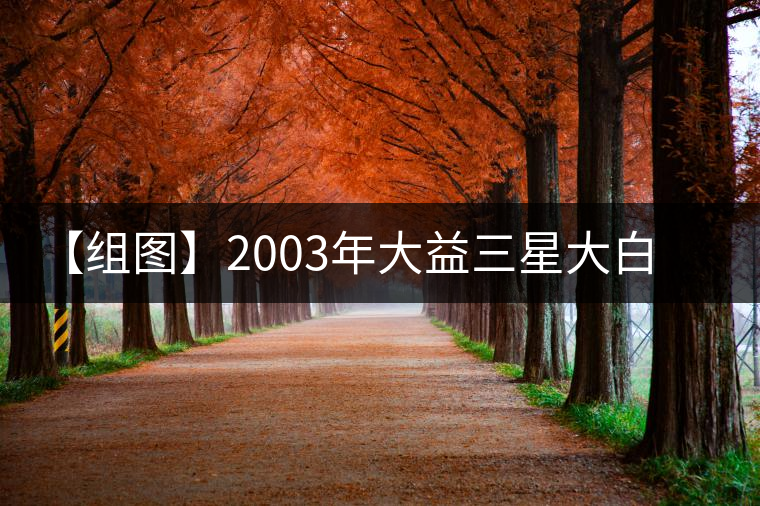 【組圖】2003年大益三星大白菜開(kāi)湯 【組圖】2003年大益三星大白菜開(kāi)湯
