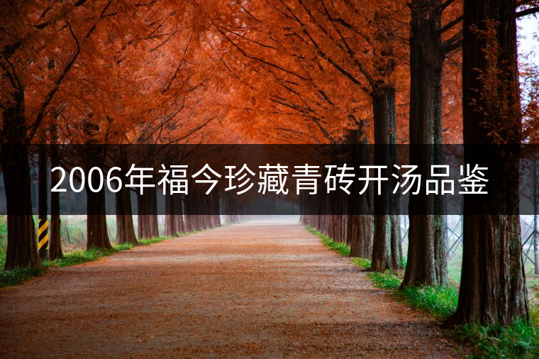 2006年福今珍藏青磚開湯品鑒