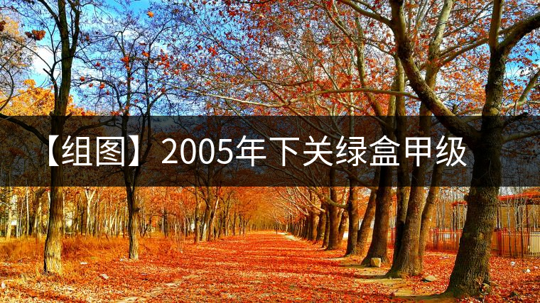 【組圖】2005年下關(guān)綠盒甲級沱開湯