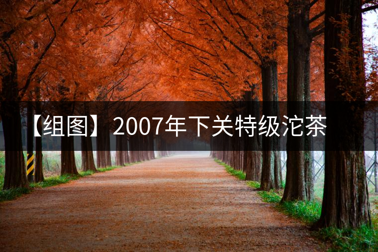 【組圖】2007年下關(guān)特級沱茶開湯
