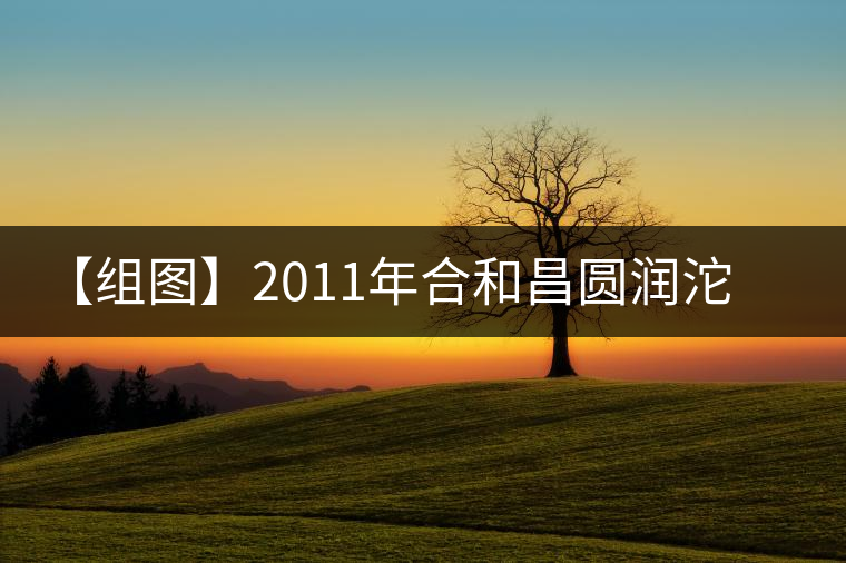 【組圖】2011年合和昌圓潤(rùn)沱茶開湯 【組圖】2011年合和昌圓潤(rùn)沱茶開湯