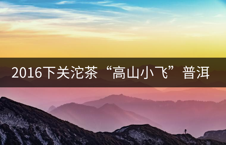 2016下關(guān)沱茶“高山小飛”普洱熟茶 2016下關(guān)沱茶“高山小飛”普洱熟茶