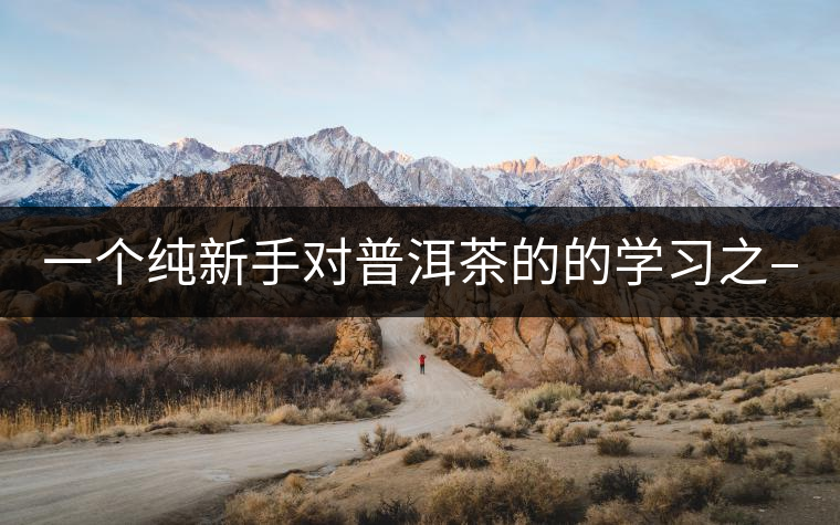 一個純新手對普洱茶的的學(xué)習(xí)之——【色】 一個純新手對普洱茶的的學(xué)習(xí)之——【色】