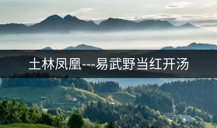 土林鳳凰---易武野當(dāng)紅開(kāi)湯 土林鳳凰---易武野當(dāng)紅開(kāi)湯