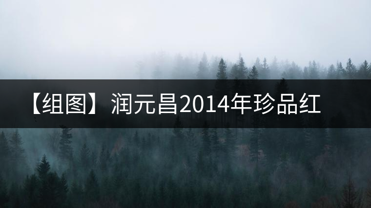 【組圖】潤(rùn)元昌2014年珍品紅印開湯