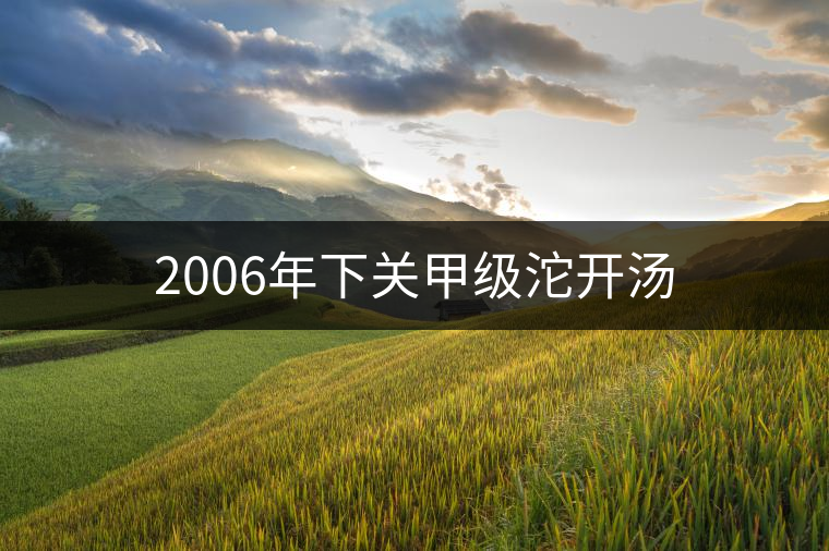 2006年下關(guān)甲級沱開湯 2006年下關(guān)甲級沱開湯