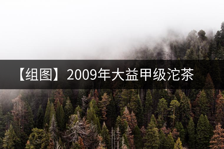 【組圖】2009年大益甲級沱茶開湯