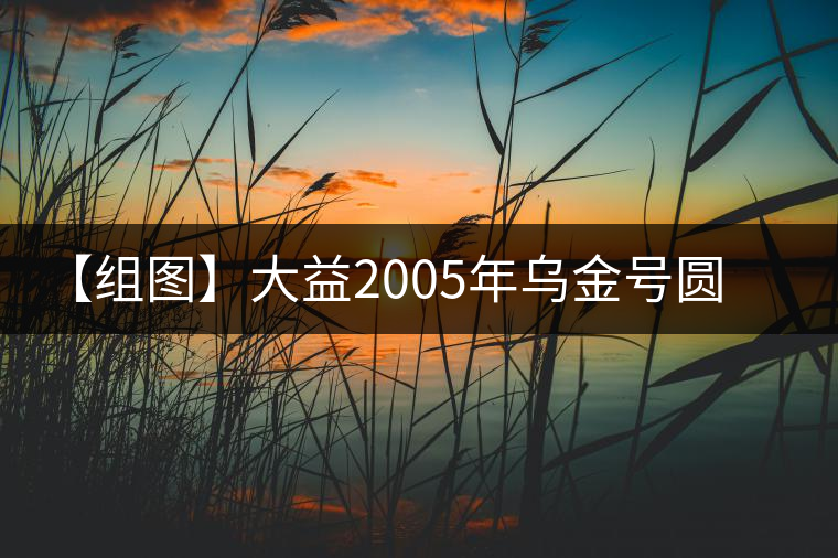 【組圖】大益2005年烏金號圓茶開湯 【組圖】大益2005年烏金號圓茶開湯