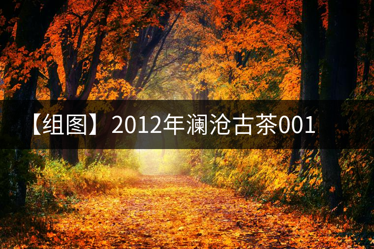 【組圖】2012年瀾滄古茶001開湯