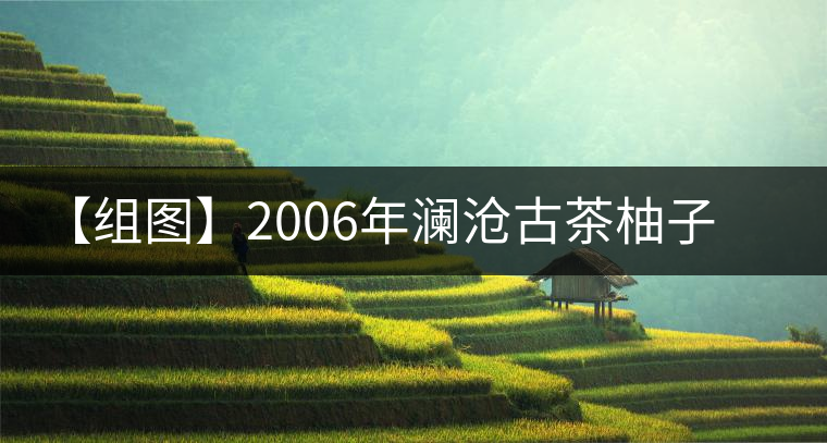 【組圖】2006年瀾滄古茶柚子茶開湯