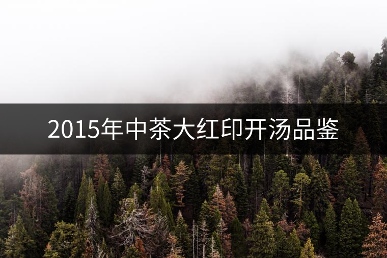 2015年中茶大紅印開(kāi)湯品鑒 2015年中茶大紅印開(kāi)湯品鑒