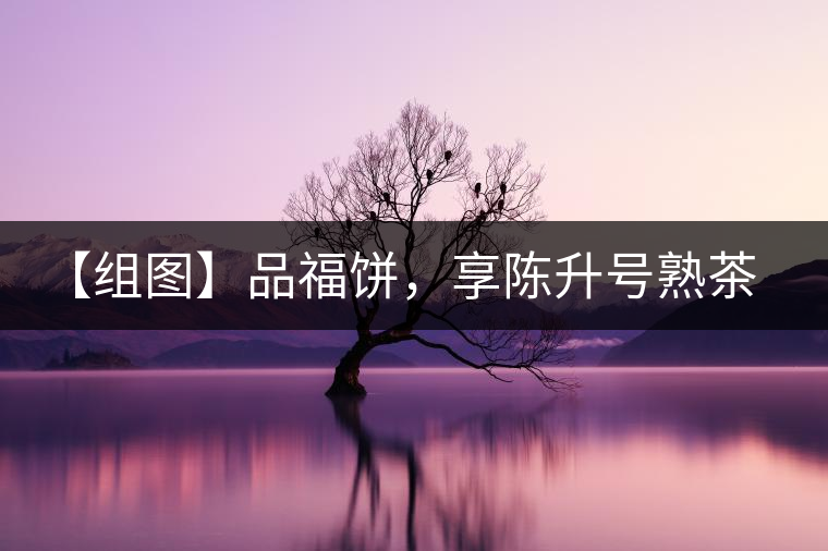 【組圖】品福餅，享陳升號(hào)熟茶滋味