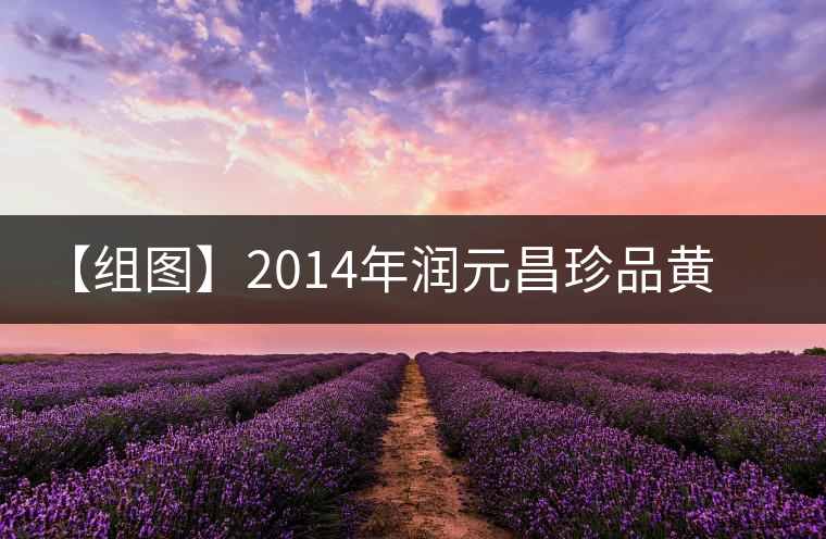 【組圖】2014年潤(rùn)元昌珍品黃印開(kāi)湯