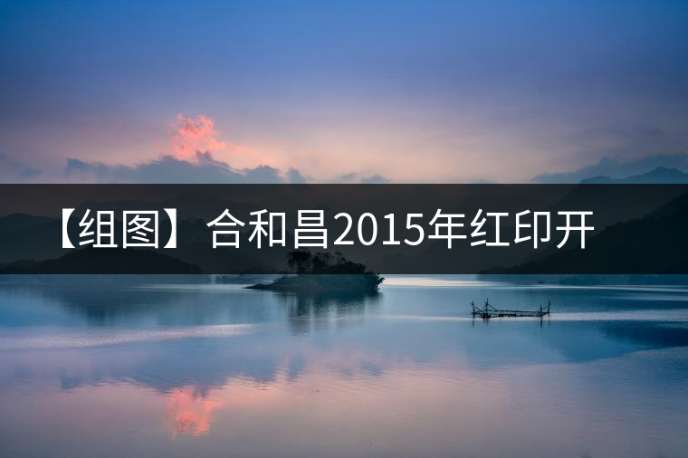 【組圖】合和昌2015年紅印開湯