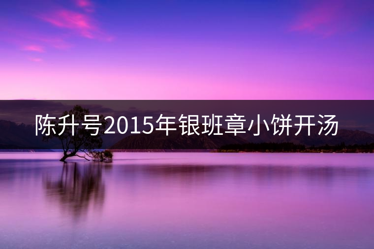 陳升號2015年銀班章小餅開湯