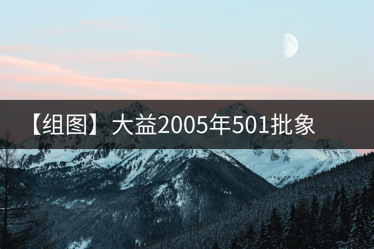 【組圖】大益2005年501批象山普洱開湯 【組圖】大益2005年501批象山普洱開湯