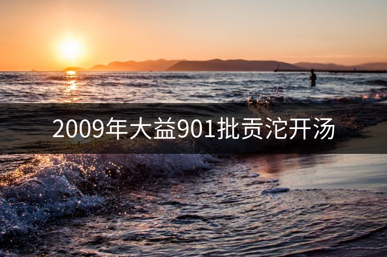 2009年大益901批貢沱開湯 2009年大益901批貢沱開湯