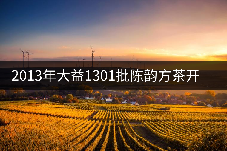 2013年大益1301批陳韻方茶開湯品鑒