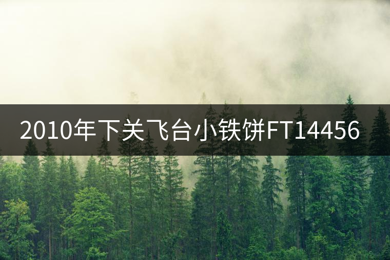 2010年下關(guān)飛臺(tái)小鐵餅FT14456開湯 2010年下關(guān)飛臺(tái)小鐵餅FT14456開湯