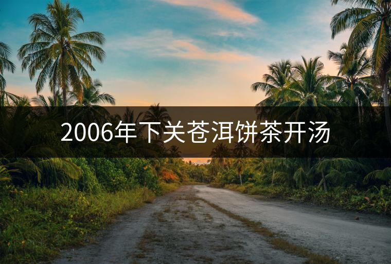 2006年下關(guān)蒼洱餅茶開湯