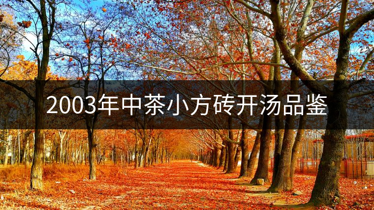 2003年中茶小方磚開湯品鑒