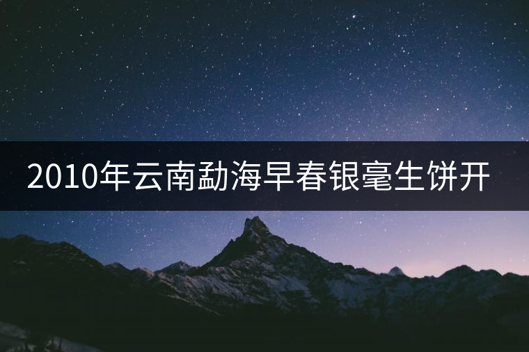 2010年云南勐海早春銀毫生餅開(kāi)湯 2010年云南勐海早春銀毫生餅開(kāi)湯