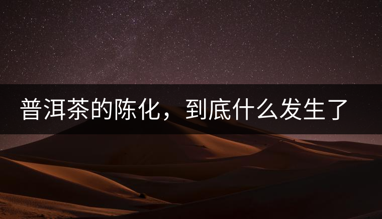 普洱茶的陳化，到底什么發(fā)生了哪些變化？