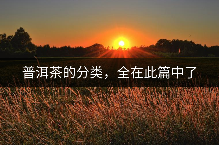 普洱茶的分類，全在此篇中了