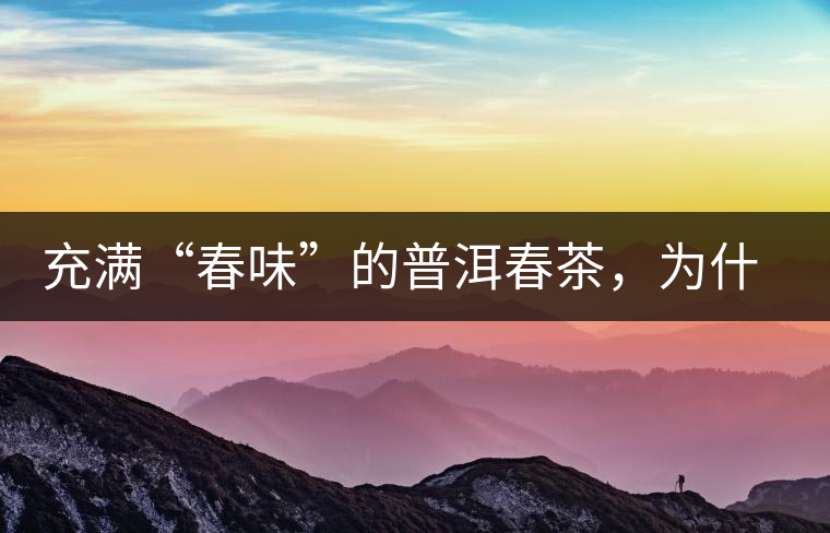 充滿“春味”的普洱春茶，為什么值得期待？