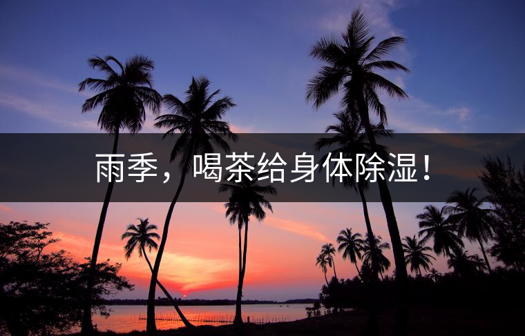 雨季，喝茶給身體除濕！