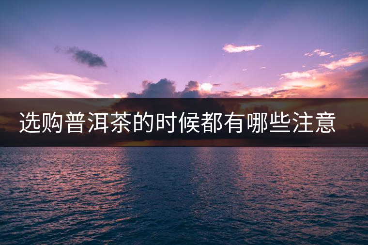 選購普洱茶的時候都有哪些注意事項？