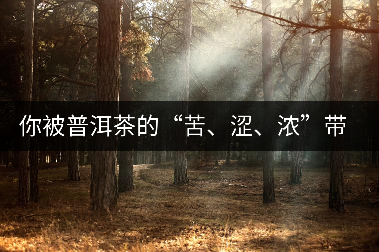 你被普洱茶的“苦、澀、濃”帶入“歧途”了嗎？