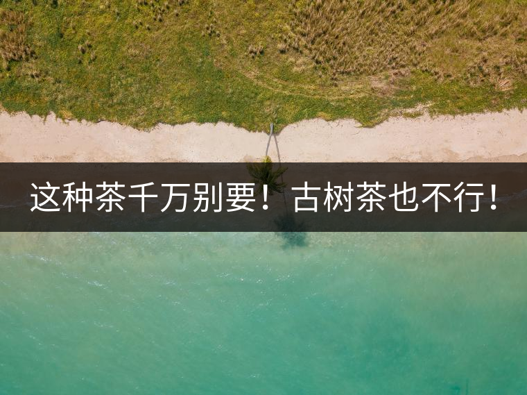 這種茶千萬別要！古樹茶也不行！