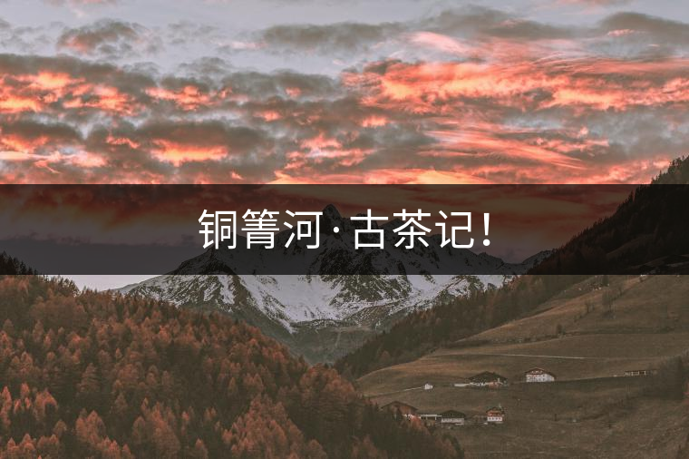 銅箐河·古茶記！