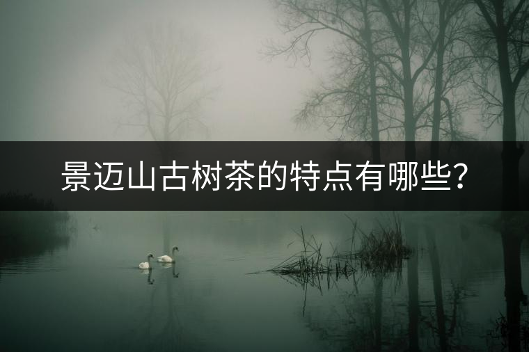 景邁山古樹茶的特點有哪些？