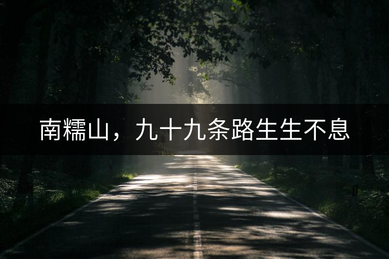 南糯山，九十九條路生生不息