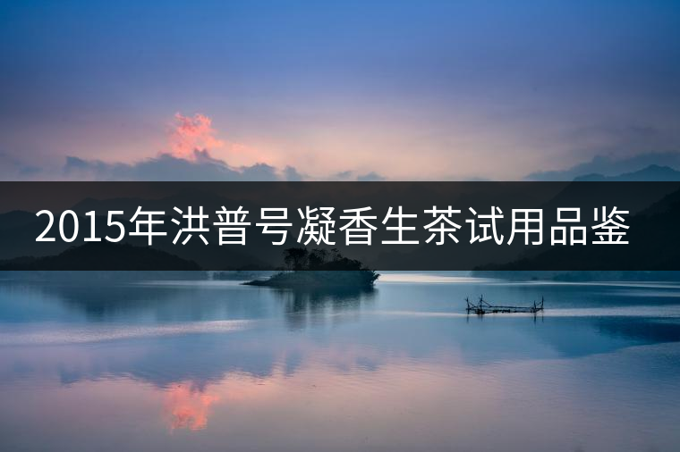 2015年洪普號(hào)凝香生茶試用品鑒報(bào)告