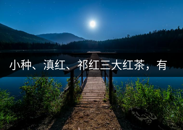 小種、滇紅、祁紅三大紅茶，有何區(qū)別