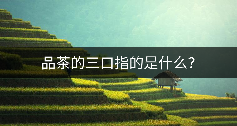品茶的三口指的是什么？