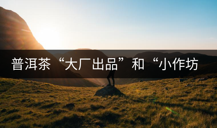 普洱茶“大廠出品”和“小作坊”，哪一個更值得購買？