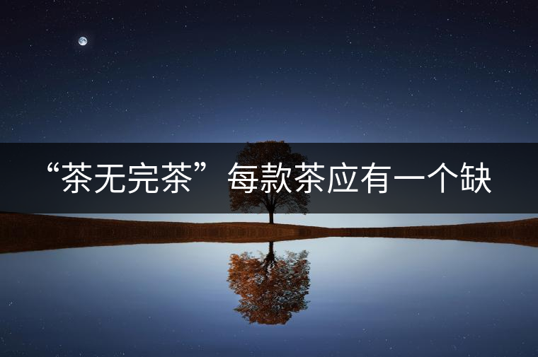 “茶無完茶”每款茶應(yīng)有一個缺點！