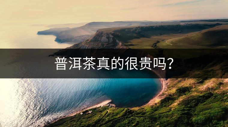 普洱茶真的很貴嗎？