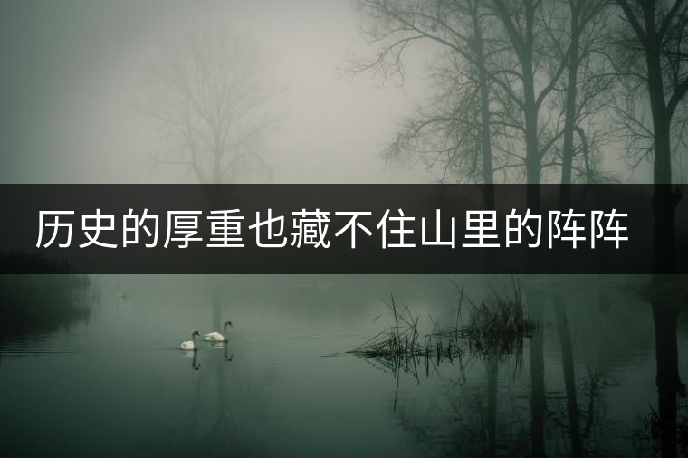 歷史的厚重也藏不住山里的陣陣茶香——攸樂古樹普洱