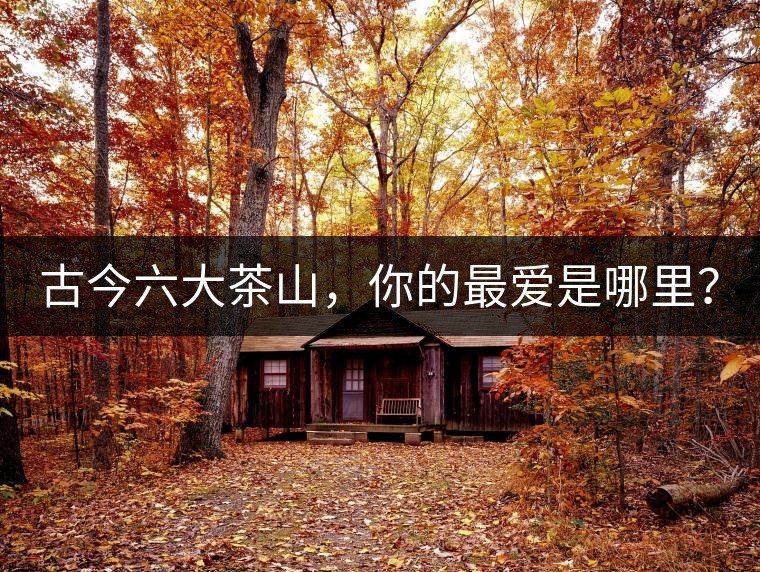 古今六大茶山，你的最愛是哪里？
