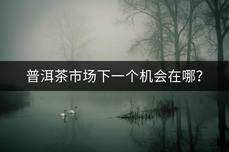 普洱茶市場下一個機會在哪？